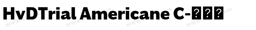 HvDTrial Americane C字体转换